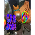 Meme dog group