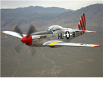 P51D Mustang Fighter Pilots
