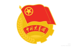 山东省菏泽市共青团