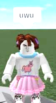 COMMUNITY ROBLOX 67