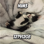 NvM3
