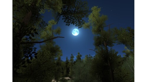 THE FOREST (Showcase)