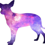 Galaxy Dogs Giveaway