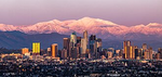 LOS ANGELES CARTEL (HIT MAN)
