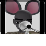 My rat Friends And friends