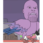 Thanos bird clothing group