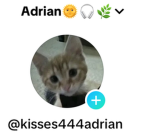 Kihiara12erfgd