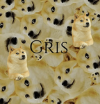 Doge8