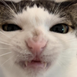 idk_3434