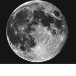 The_MoonLight group