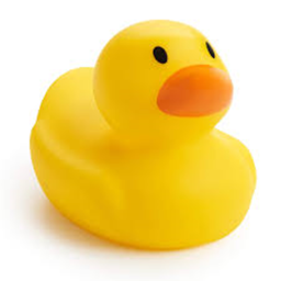 survive the duck killer