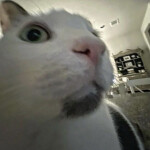 Starlight Funk [DARK MATTER ECLIPSE]