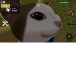 Noob1232201
