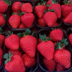 Os Morangos 🍓
