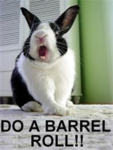 Do a Barrel Roll!
