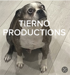 TIERNO PRODUCTIONS