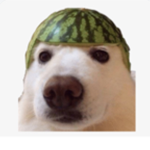 Watermelon boi army
