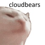 cloudbears