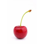 Cherry Squad!!!!!!!!!!!!!!!!!!!!!!!!!!!!