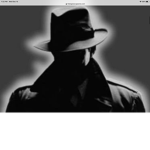 The semi agent