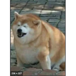 meme plus food equals fat meme