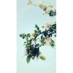 Cherry Rose!