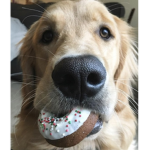 Mega Donuts