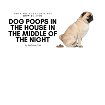 tojo07's Place Number: 38