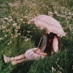 ᴀ ɴ ɪ ᴍ ᴇ ꜰ ʀ ᴇ ᴇ ᴋ ꜱ