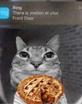 Yum apple pie