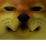 Sly Dog Unite