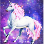 The Unicorn Wonder
