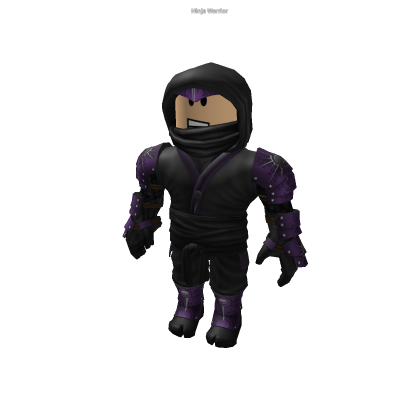 Ninja Warrior