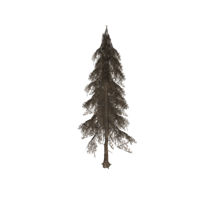 Tall Realistic Tree