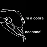 Cartel de la Cobras Blancas