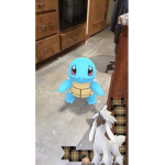 Squirtle’s Group!