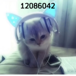 REM1X