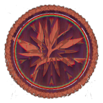 Plants Apparel
