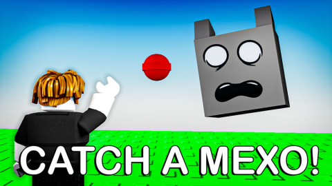 🐨CATCH A MEXO!🐨