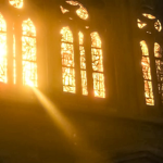 PawtopiaRBLX