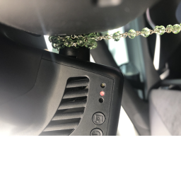 Raise A Floppa! [New Update]