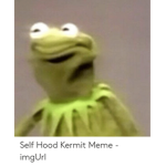 Meme Team Hype House