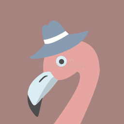 The flamingo kingdom