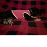 Baby little star
