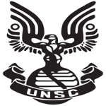 The United Nations Space Corporation