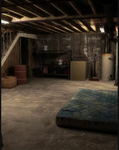 amandas basement