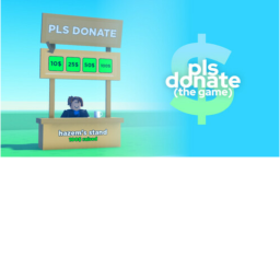 PLS DONATE 💸