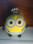 Zachary minion group