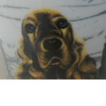 Spaniel fans