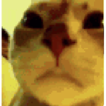 29853
